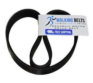 Free Motion XTr -SFTL189093 Motor Drive Belt
