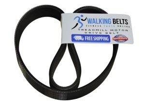 RBTL071071 Reebok 8050 ES Treadmill Motor Belt